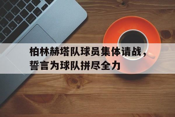 开元棋牌APP-柏林赫塔主帅